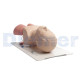 Advanced Professional Intubation Head